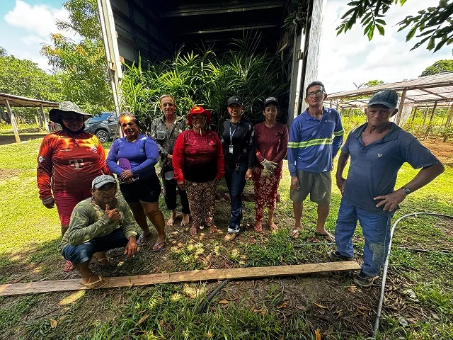 Em produção em alta no Amazonas, açaí é reconhecido oficialmente como fruta autenticamente brasileira
