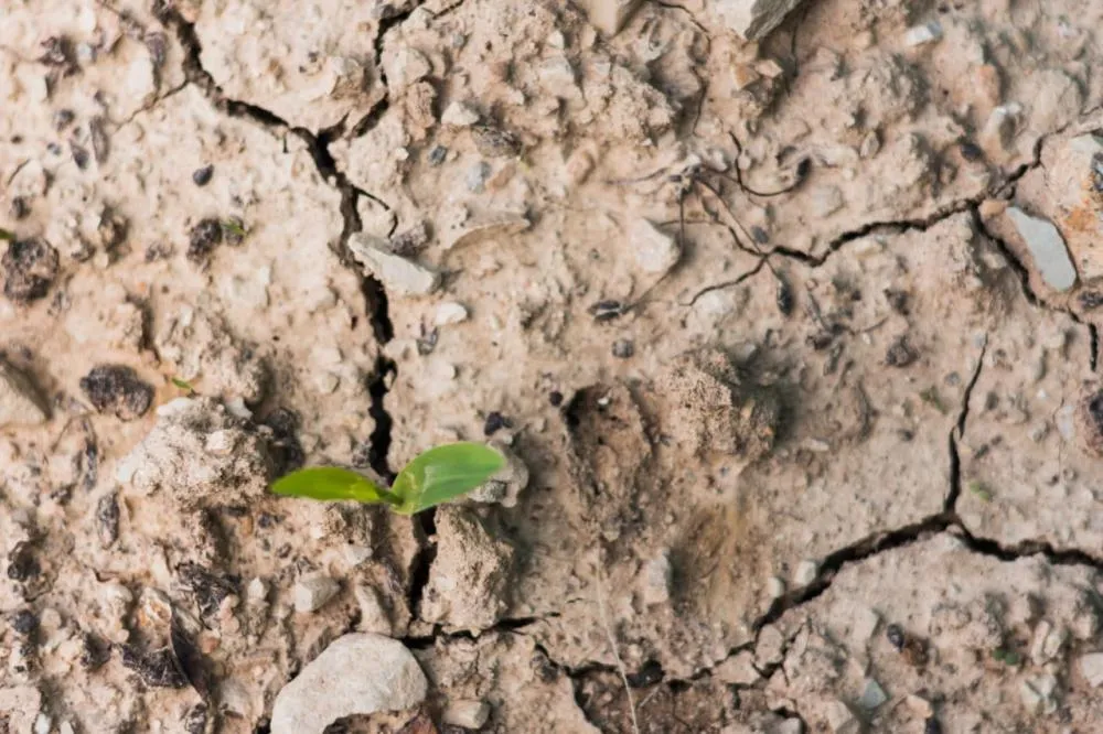 Ministério Público acompanha preparação de Atalaia do Norte para enfrentar estiagem e impactos do El Niño